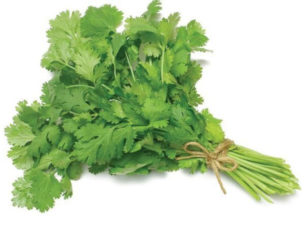 Coriander (Dhaniya)