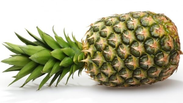 Pineapple (Raja)