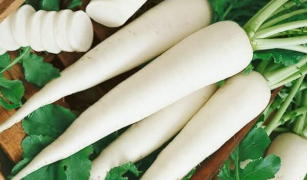 Radish ( Muli)