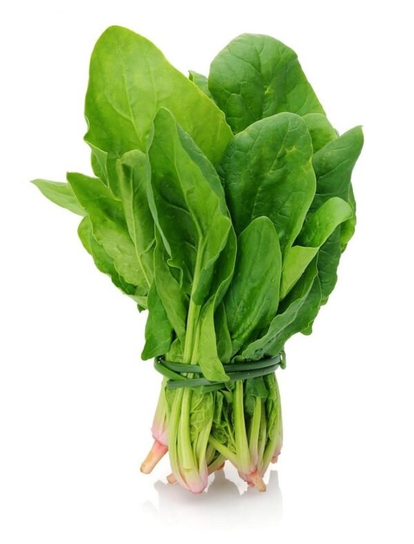 Spinach (Palak)