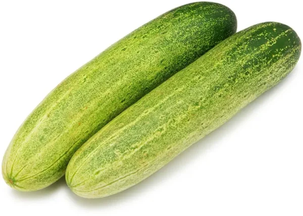 Cucumber (Khira)